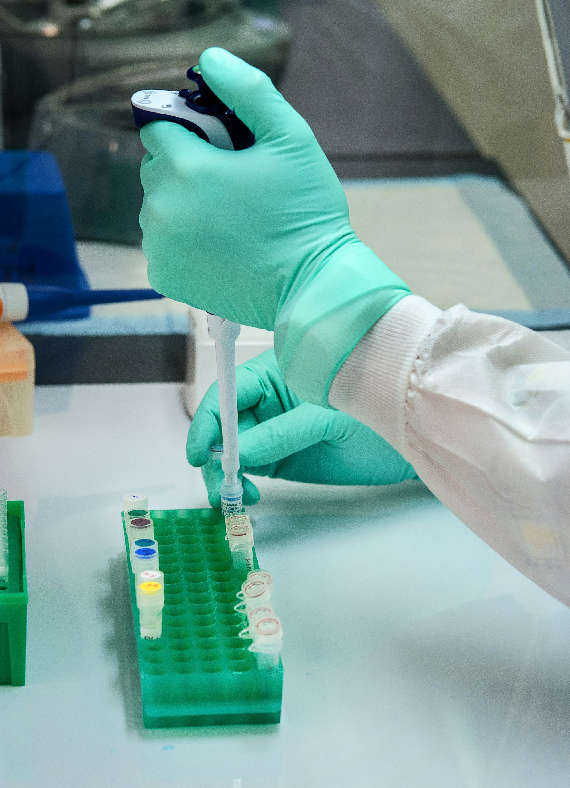 Gloved hands handling a pipette and sample rack